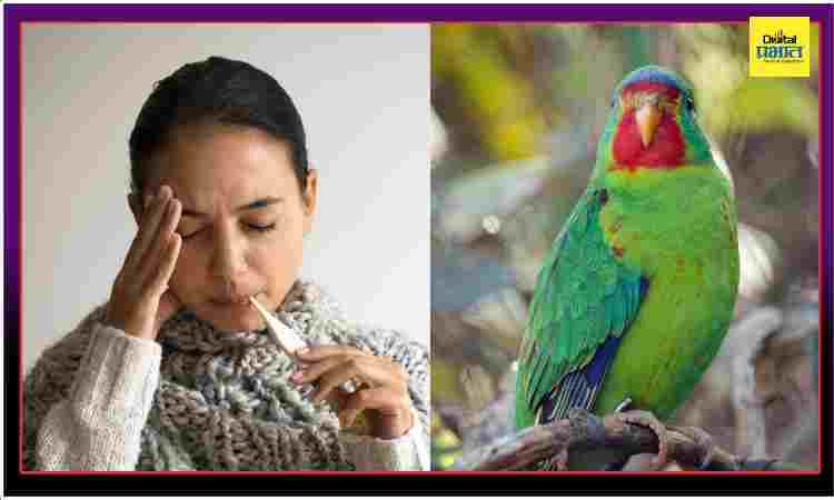 parrot fever